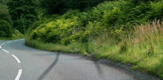 Nasuni Skid crash