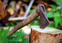 How does NetApp’s MAX Data use Storage-Class Memory? Let’s find out