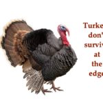 Hyperconverged infrastructure heads closer to the edge