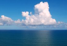 NetApp building moat around ONTAP base