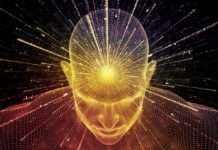 VirtualWisdom gets closer to self-driving app vision