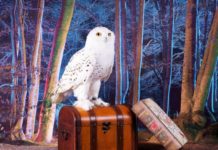 Commvault: Containers will enable unified data and storage management