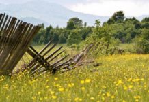 Western Digital begins mending fences in WD Red NAS drive SMR spat