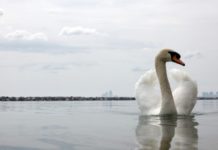 WFH economy fuelled ‘strong, accelerated’ demand from cloud, hyperscale, says Seagate as nearline disk ships drive topline up 18%