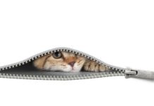 StorONE challenges storage array makers to stop hiding prices