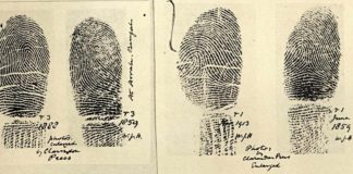 Fingerprint samples