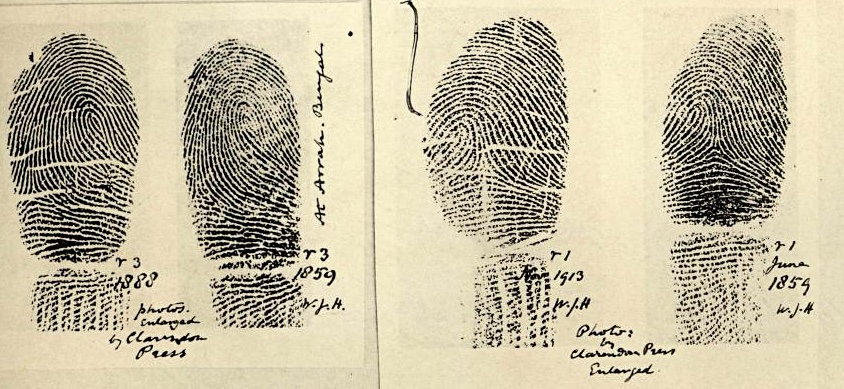 Fingerprint samples