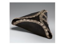 What do you see when you put container storage firms into the sorting triangle?