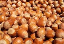 Hazelcast adds storage drive support and boosted SQL