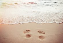 Storage News Ticker – November 9