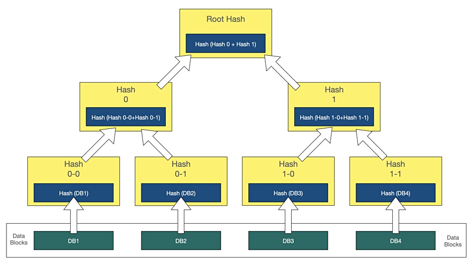 Keepit uses the Merkle tree hash structure