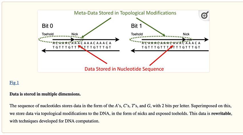 DNA storage diagram