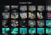 XenData launches media asset viewer for archived files
