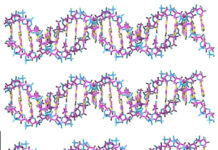 DNA Data Storage: When the physics work but the economics don’t