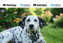NetApp offloads Spot, Cloudcheckr to Flexera