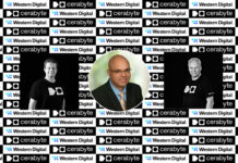 Cerabyte gains backing from Western Digital