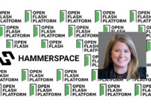 Hammerspace pushes Open Flash Platform to rethink AI data storage