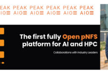 PEAK:AIO’s scale-out flash pNFS metadata server