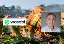 Wasabi sets itself on Fire