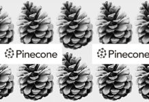 Pinecone rolls out dedicated read nodes to boost vector search performance