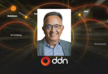 DDN appoints vice chairman amid enterprise AI expansion